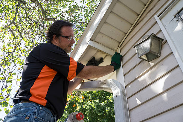 Best Historical Building Siding Restoration  in South Laurel, MD